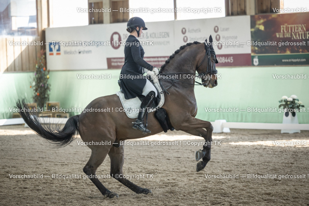 _D5A9898 | Emotionale Pferde- & People-Fotografie rund um Heidelberg, Leimen & Umgebung. Natürliche Fotos von Pferd, Mensch & Familie. Jetzt Termin sichern!