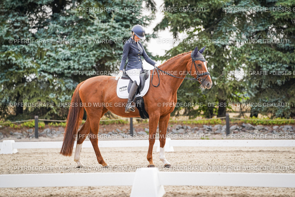 DSC00443 | Pferdegrafie