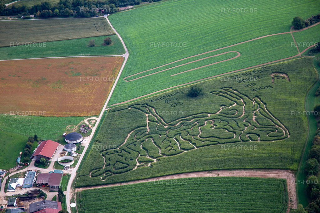 Luftbild: Maislabyrinth des Milchhof Lämmle-Hofmann im Ortsteil Flehingen in Oberderdingen im Bundesland Baden-Württemberg in Deutschland. Foto: IMG_138710.jpg vom 16.09.2023 durch Werner Riehm/FLY-FOTO.de