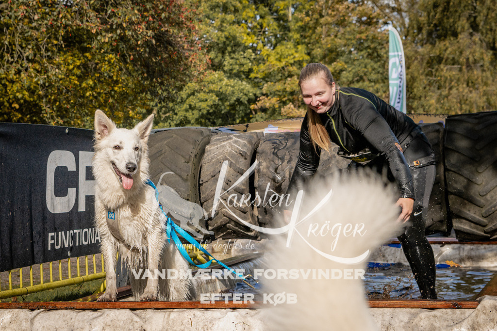 1305_ZZ91908 | kk-dogfotos