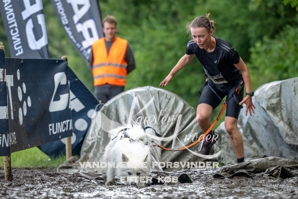 1157_ZZ90503 | kk-dogfotos