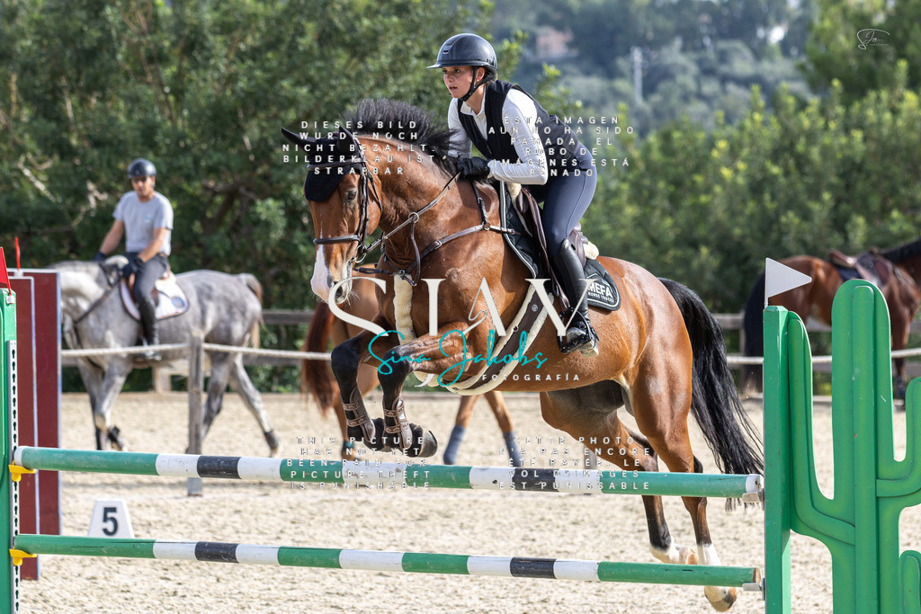 IMG_4048 | s-jay-photography - Realisiert mit Pictrs.com