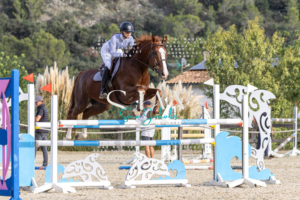 IMG_4577 | s-jay-photography - Realisiert mit Pictrs.com