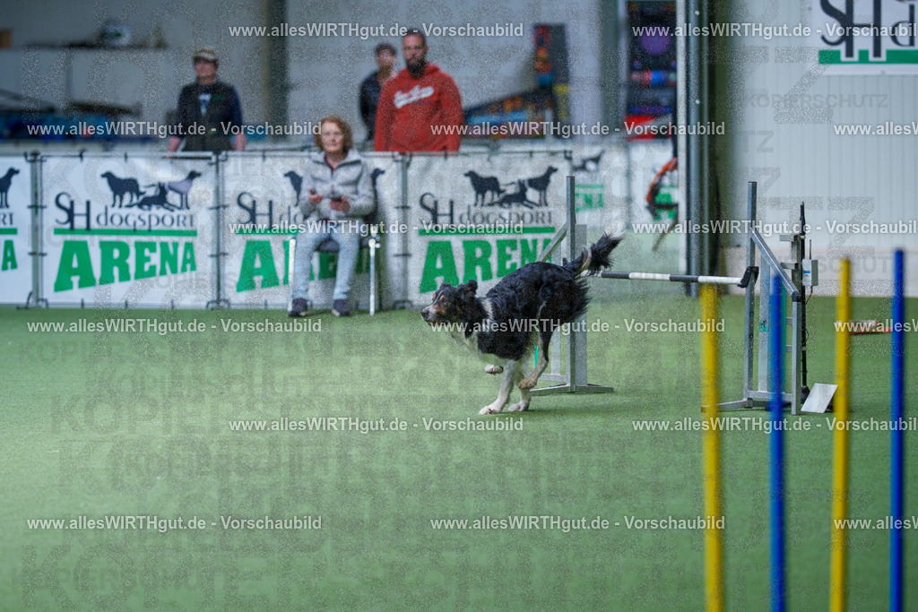 @allesWIRTHgut_Tierfotografie - www.allesWIRTHgut.de - 2604251205-7R500816 | Professionelle Tierfotografie in Mönchengladbach von Daniel Wirth (allesWIRTHgut). Liebevolle & natürliche Bilder von Hunden & Katzen für unvergessliche Erinnerungen.