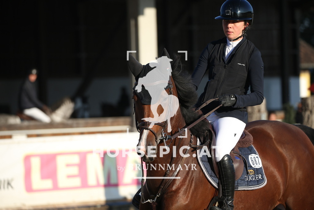 DL2Q0475 | Willkommen bei Brunnmayr - Design & Fotografie – Ihrem Spezialisten für Reitturniere und Pferdeveranstaltungen in Oberösterreich, Salzburg und Bayern! Seit über 17 Jahren sind wir leidenschaftlich dabei.