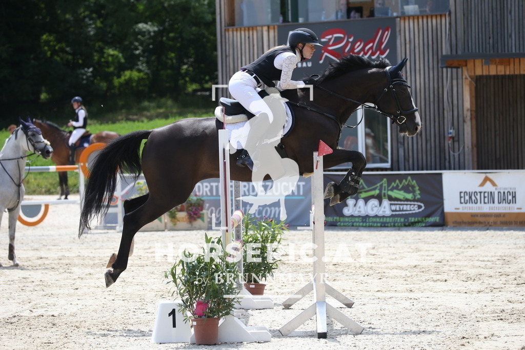 DL2Q2471 | Willkommen bei Brunnmayr - Design & Fotografie – Ihrem Spezialisten für Reitturniere und Pferdeveranstaltungen in Oberösterreich, Salzburg und Bayern! Seit über 17 Jahren sind wir leidenschaftlich dabei.