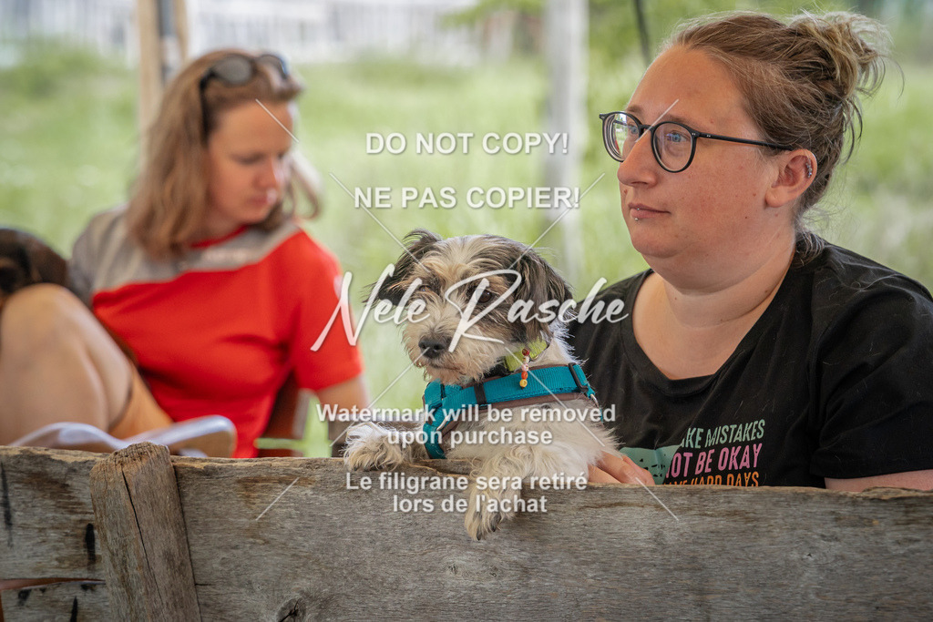 nelerasche_SoAbschied_06 | nelerasche