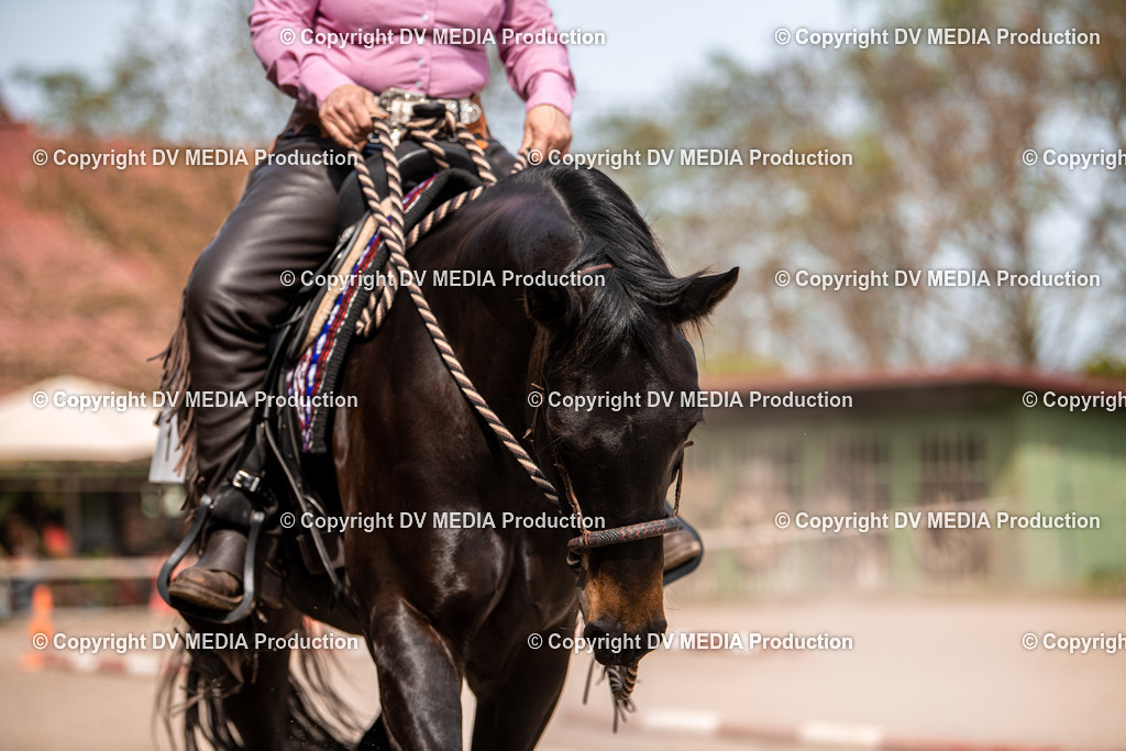 Balingen Tag 5-383 | dv-media-shop - Realisiert mit Pictrs.com