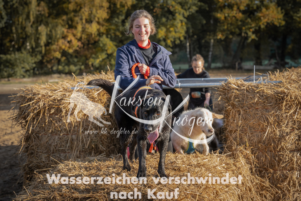 0948_ZZ94877 | kk-dogfotos