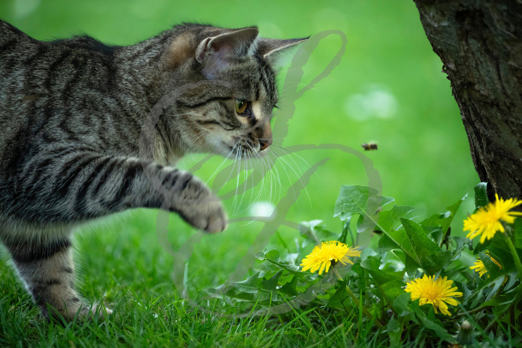 _DSC0197_Shirley | sebastiandoebroessy - Realisiert mit Pictrs.com