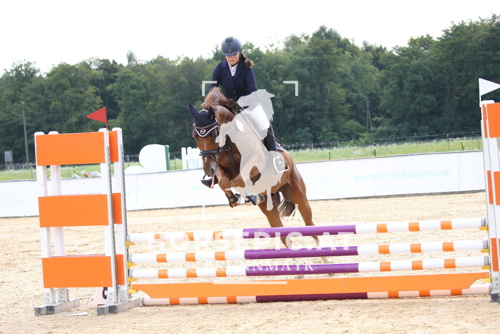 DL2Q3400 | Willkommen bei Brunnmayr - Design & Fotografie – Ihrem Spezialisten für Reitturniere und Pferdeveranstaltungen in Oberösterreich, Salzburg und Bayern! Seit über 17 Jahren sind wir leidenschaftlich dabei.