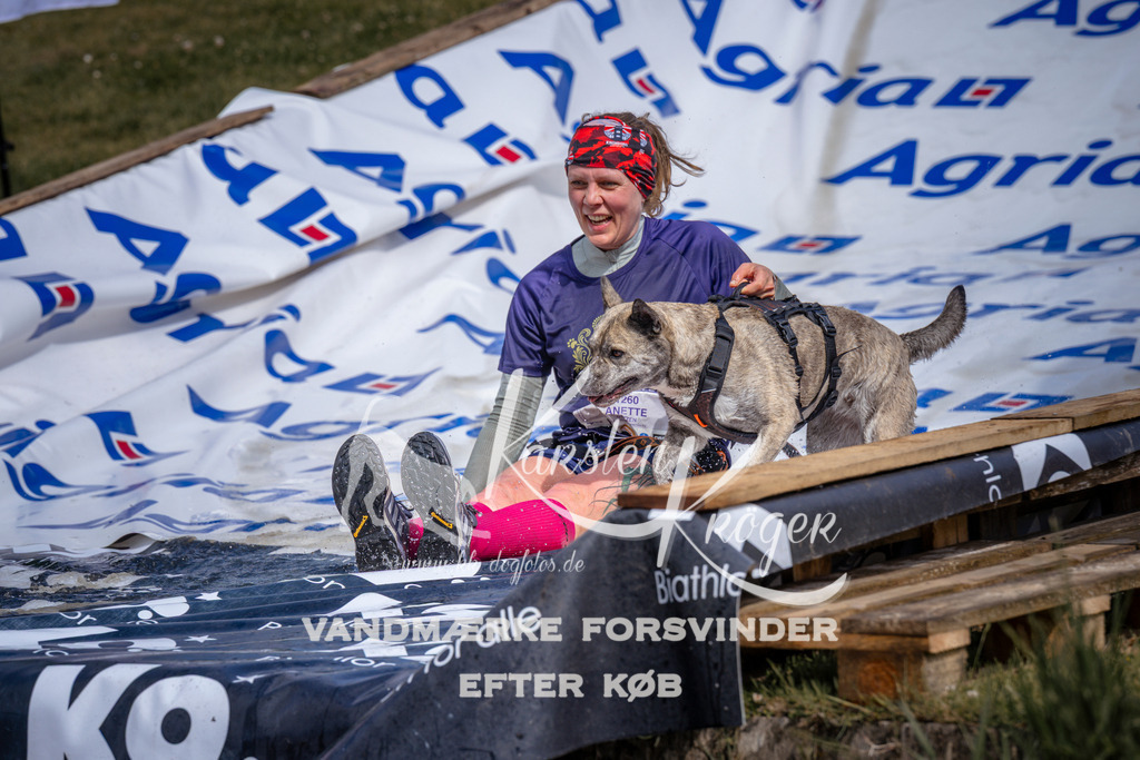 _ZZ906860907 | kk-dogfotos