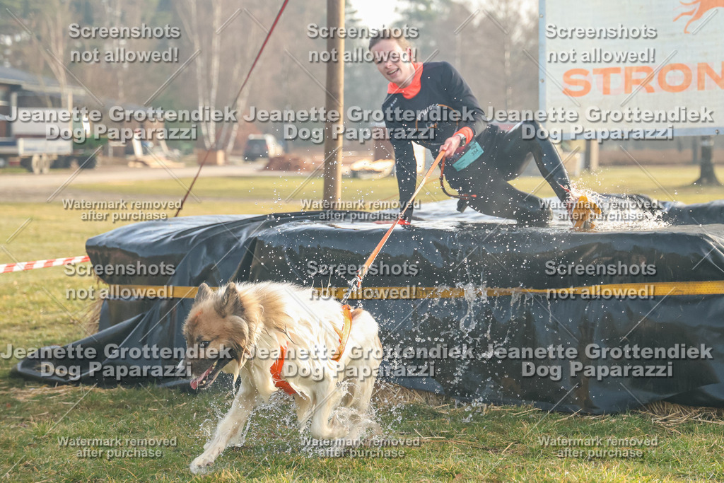 Dog Paparazzi - SD North Sa 830-900-35 | Dog Paparazzi Jeanette Grottendiek Fotografie & Videografie - Realisiert mit Pictrs.com