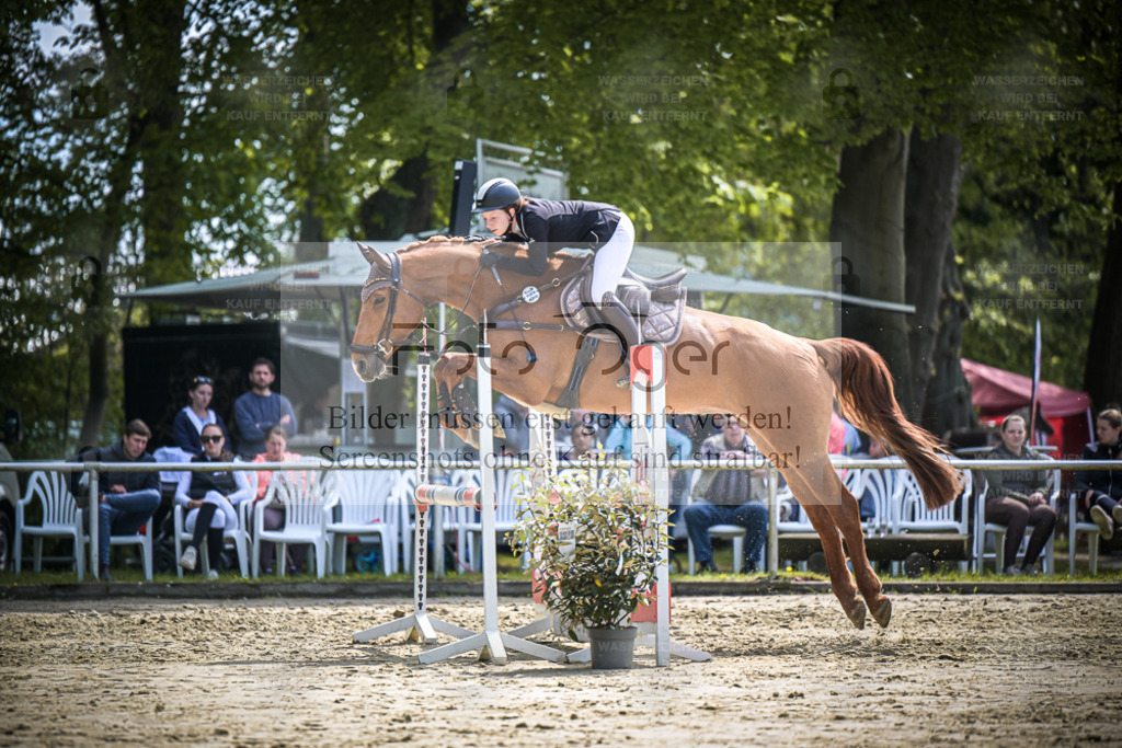 DOS_0545 | Entdecke hochwertige Reitturnierfotos von Foto Oger. Professionell, emotional und authentisch – jetzt Lieblingsmomente im Shop bestellen. - Realisiert mit Pictrs.com