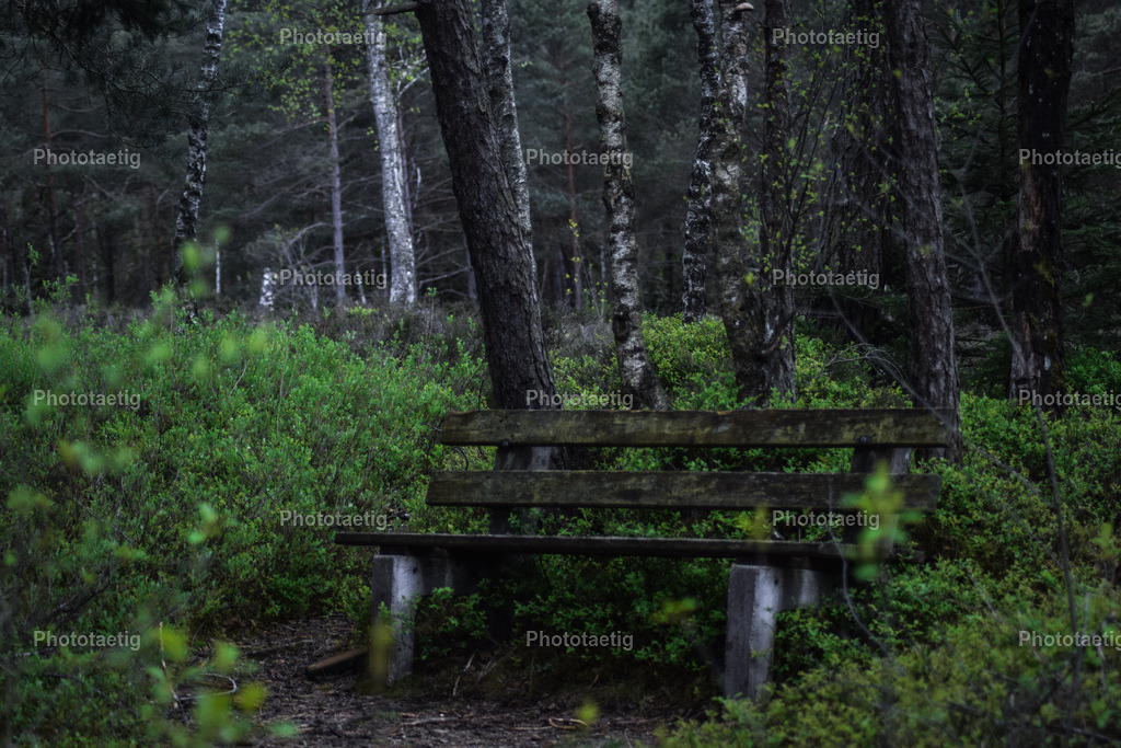 IMG_0309 | phototaetig