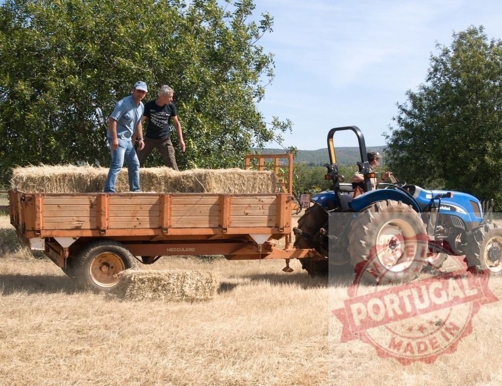Farmers working hay bales on tractor trailer | Farmers loading hay bales onto a moving tractor trailer in a dry field - Realisiert mit Pictrs.com