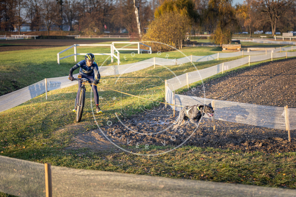 CaniXpix_DV3A9686 | Hundefotografie, Tierfotograf, Pfotenfotografie, Fotoshooting Hund, Hunde Portrait, Hundesport, Hundeportraits, Heideshooting, Hunde, Sportfotograf, Hundefotograf, Turnierhundsport, THS,  - Realisiert mit Pictrs.com