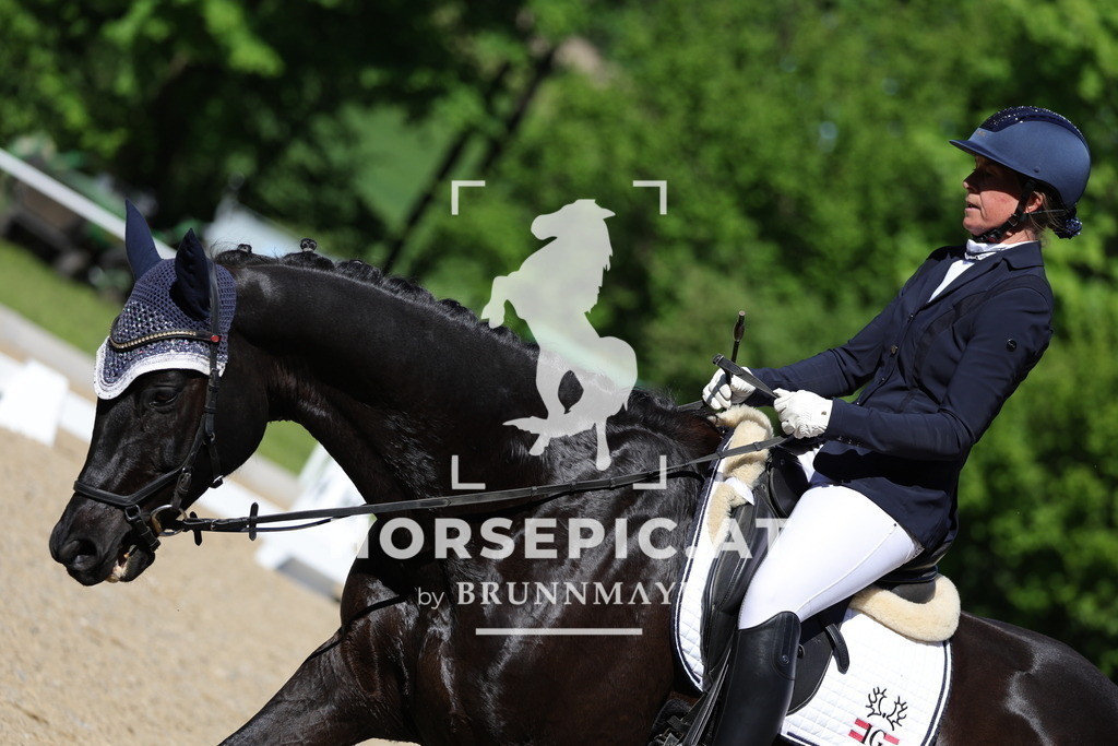 0P6A1976 | Willkommen bei Brunnmayr - Design & Fotografie – Ihrem Spezialisten für Reitturniere und Pferdeveranstaltungen in Oberösterreich, Salzburg und Bayern! Seit über 17 Jahren sind wir leidenschaftlich dabei.