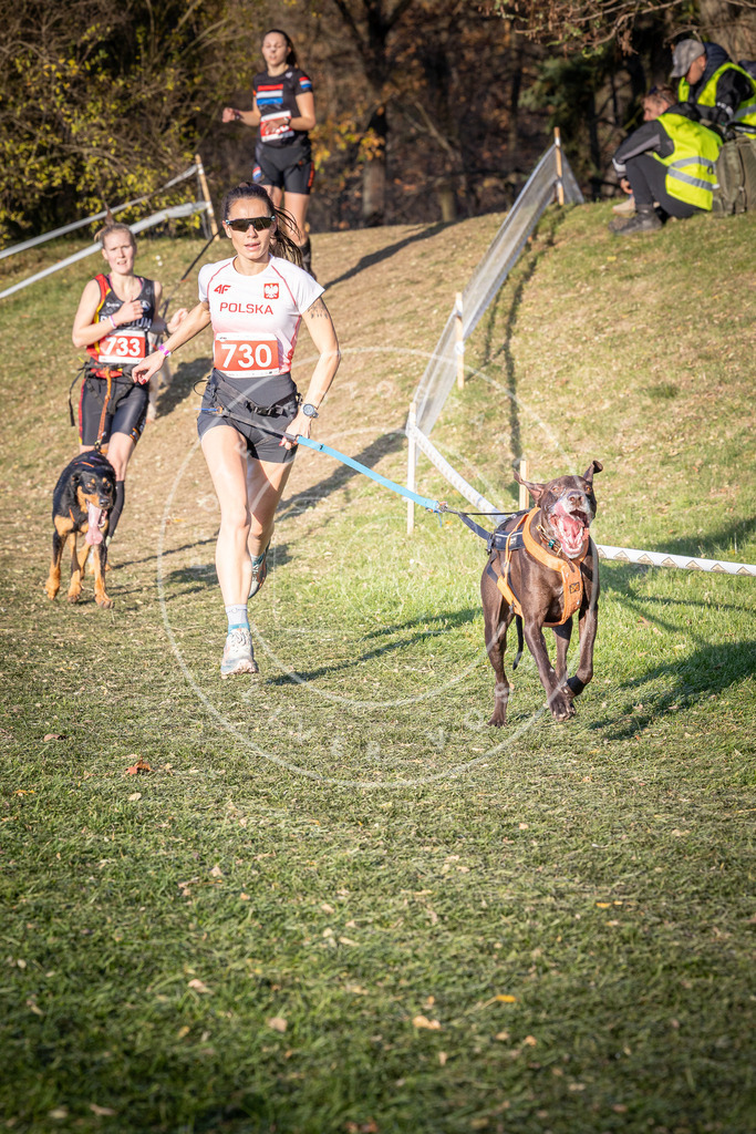 CaniXpix_0L8A9741 | Hundefotografie, Tierfotograf, Pfotenfotografie, Fotoshooting Hund, Hunde Portrait, Hundesport, Hundeportraits, Heideshooting, Hunde, Sportfotograf, Hundefotograf, Turnierhundsport, THS,  - Realisiert mit Pictrs.com
