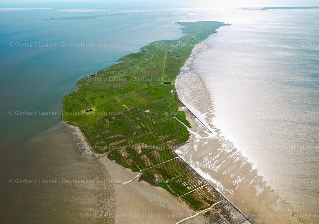 3091356 | Langeneß, Nationalpark Schleswig-Holsteinisches Wattenmeer