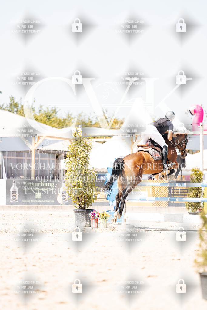CK909984 | Turnierfotografie Pferdefotografie Trier Rheinland-Pfalz Pferdesport Reitsport Tierfotografie Sportfotografie Pferdevideo Pferdevideografie Equestrianvideography equestrianphotography  - Realisiert mit Pictrs.com