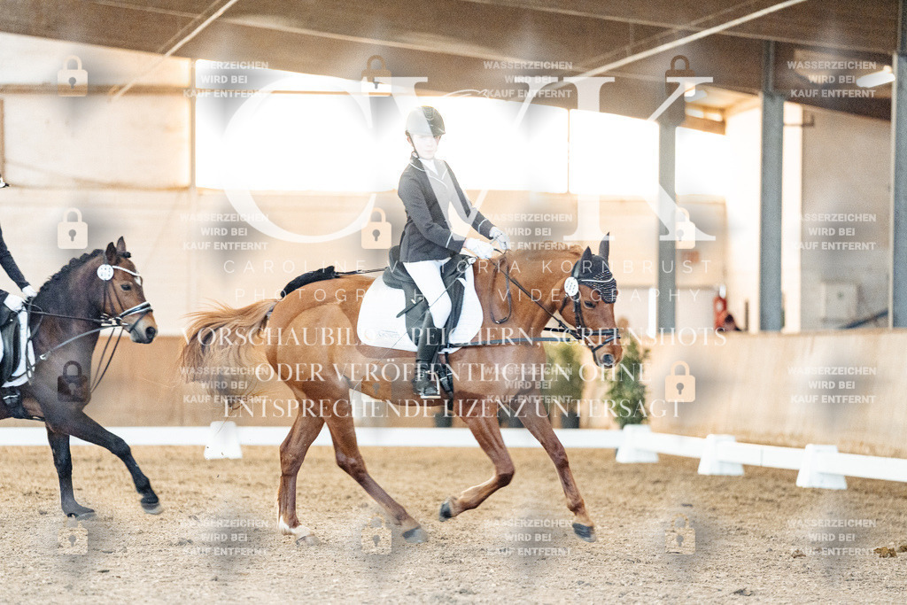 CK906610 | Turnierfotografie Pferdefotografie Trier Rheinland-Pfalz Pferdesport Reitsport Tierfotografie Sportfotografie Pferdevideo Pferdevideografie Equestrianvideography equestrianphotography  - Realisiert mit Pictrs.com