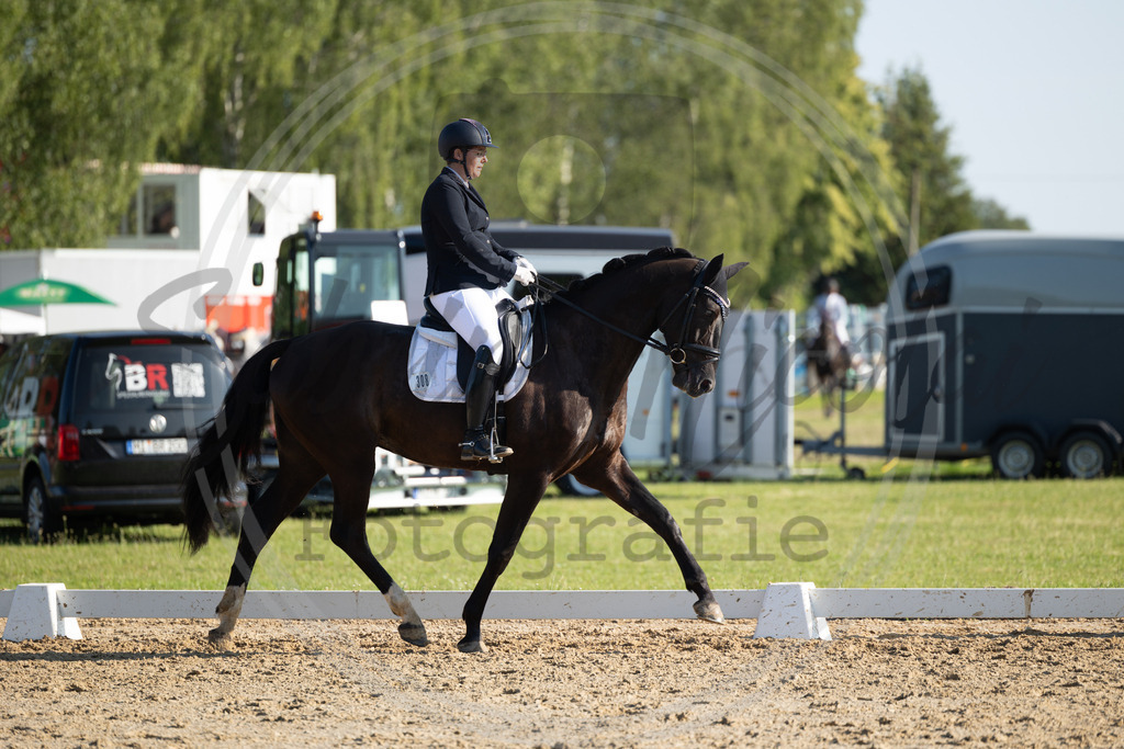 994A4019 | sabrinanicolaifotografie - Realisiert mit Pictrs.com