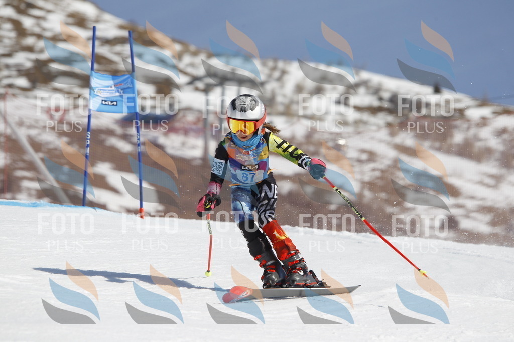 _U3G0103 | holidayphoto