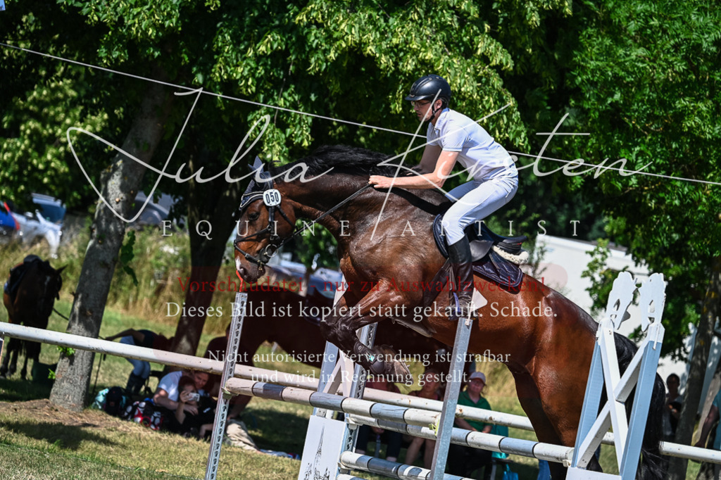 DSC_1224 | Pferde- und Turnierfotografie in Westsachsen. Pferdeportraits, Auftragszeichnungen und intuitive Kunst.