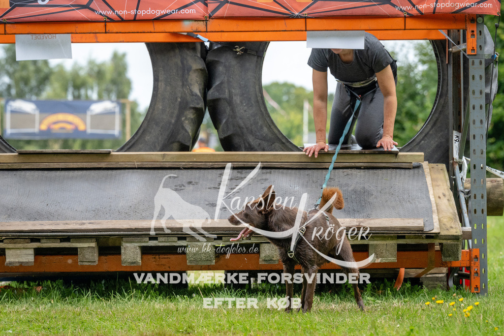 1151_ZZ93111 | kk-dogfotos