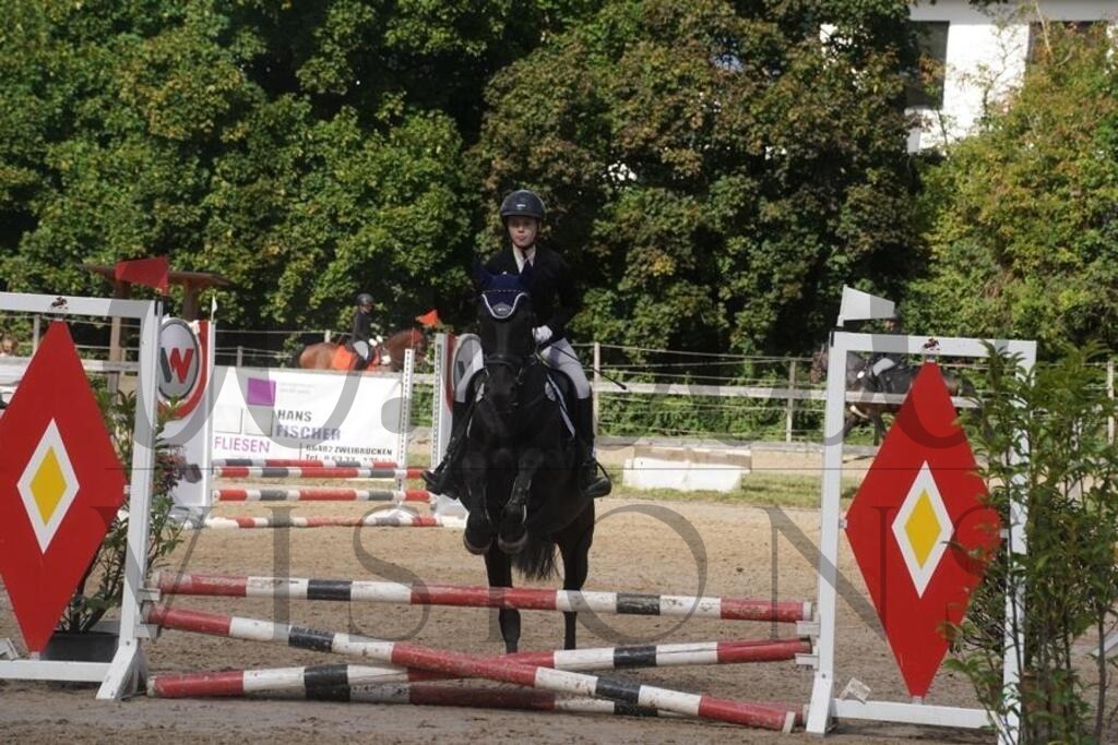 rveinoedsonntag (588) | d.tail Visions - Shop - Realisiert mit Pictrs.com