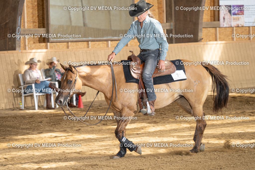 DSC00313 | dv-media-shop - Realisiert mit Pictrs.com