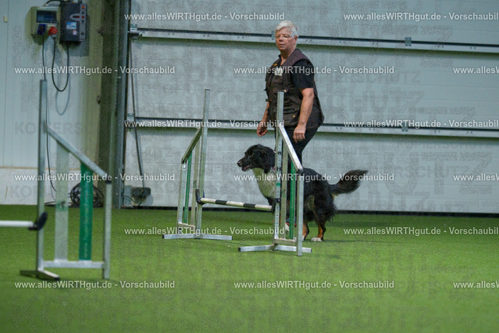 7R507111 | Professionelle Tierfotografie in Mönchengladbach von Daniel Wirth (allesWIRTHgut). Liebevolle & natürliche Bilder von Hunden & Katzen für unvergessliche Erinnerungen.