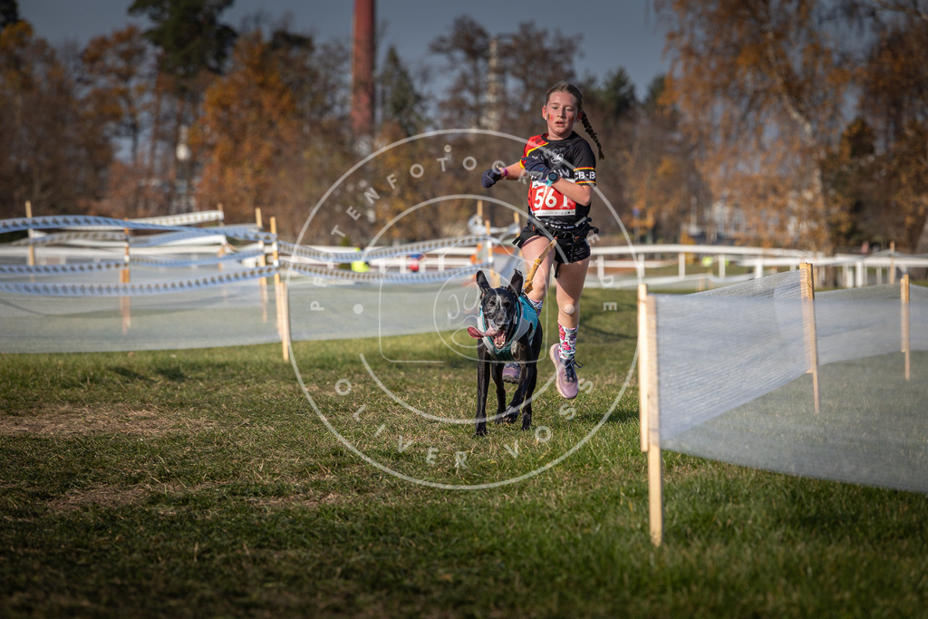 CaniXpix_0L8A9215 | Hundefotografie, Tierfotograf, Pfotenfotografie, Fotoshooting Hund, Hunde Portrait, Hundesport, Hundeportraits, Heideshooting, Hunde, Sportfotograf, Hundefotograf, Turnierhundsport, THS,  - Realisiert mit Pictrs.com