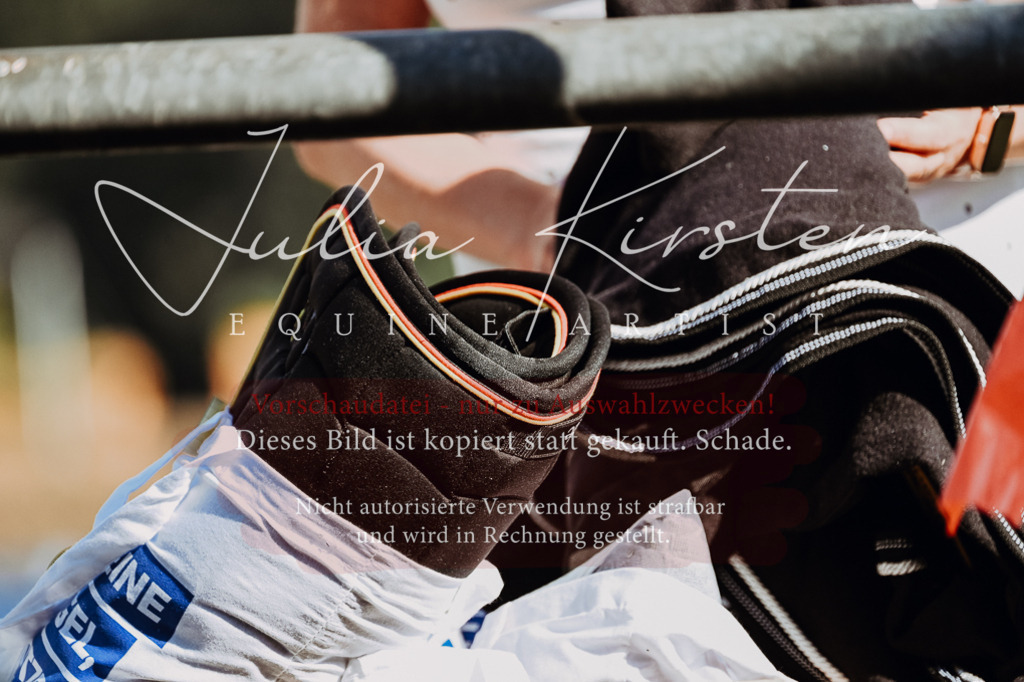 DSC_8838 | Pferde- und Turnierfotografie in Westsachsen. Pferdeportraits, Auftragszeichnungen und intuitive Kunst.