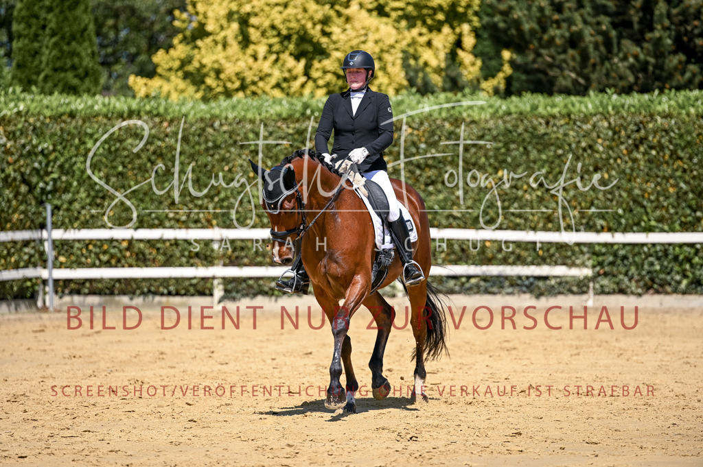Schugtsche-Aluta25-49.Dressurpferdeprf.A-249 | Schugtsche Fotografie - Realisiert mit Pictrs.com