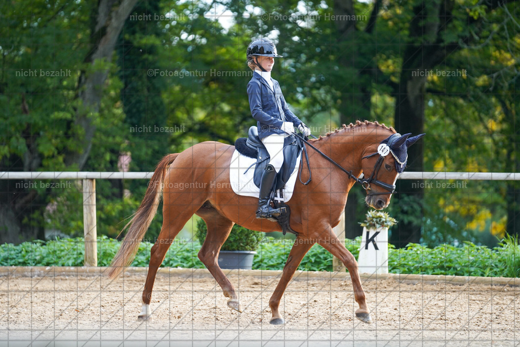 20221008-FAH00830 | Diessen am Ammersee, 2022, Dressur- und Springturnier, Reitsportbilder, Turnierfotografen Bayern, Pferdefotografen, Fotoagentur Herrmann, Turnierbilder