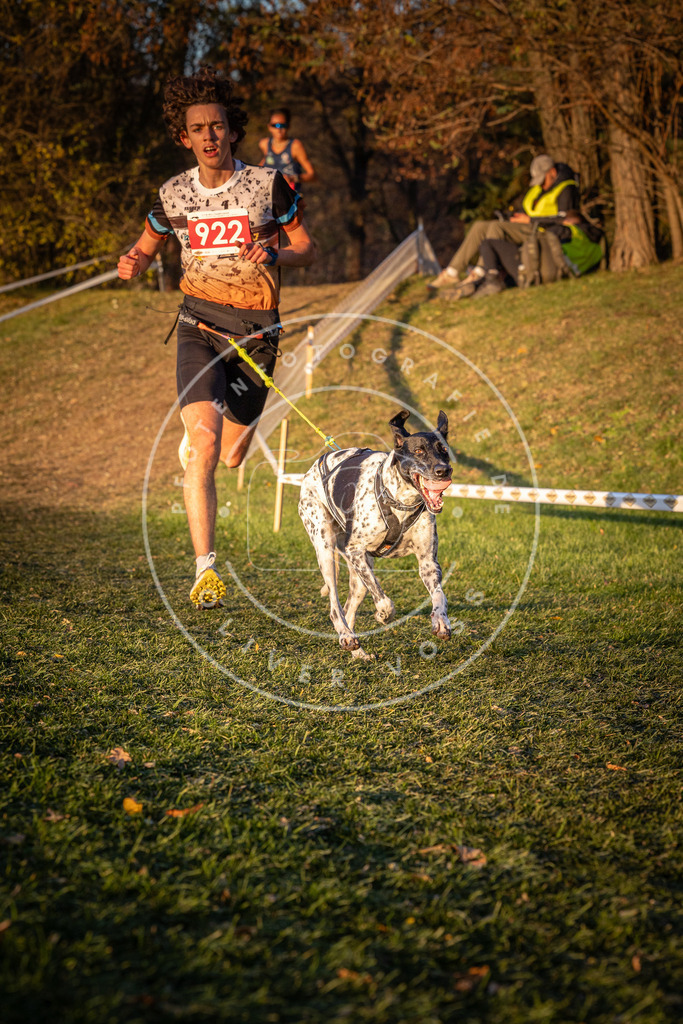 CaniXpix_0L8A1635 | Hundefotografie, Tierfotograf, Pfotenfotografie, Fotoshooting Hund, Hunde Portrait, Hundesport, Hundeportraits, Heideshooting, Hunde, Sportfotograf, Hundefotograf, Turnierhundsport, THS,  - Realisiert mit Pictrs.com