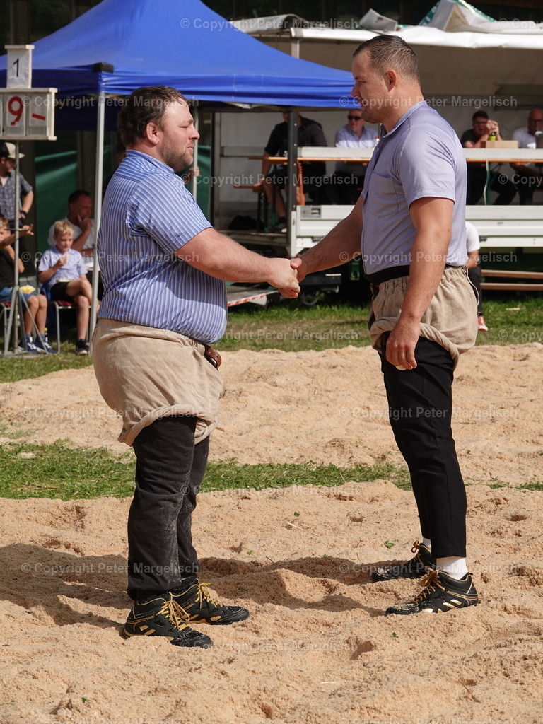 DSC05762 | Schwingen - Realisiert mit Pictrs.com