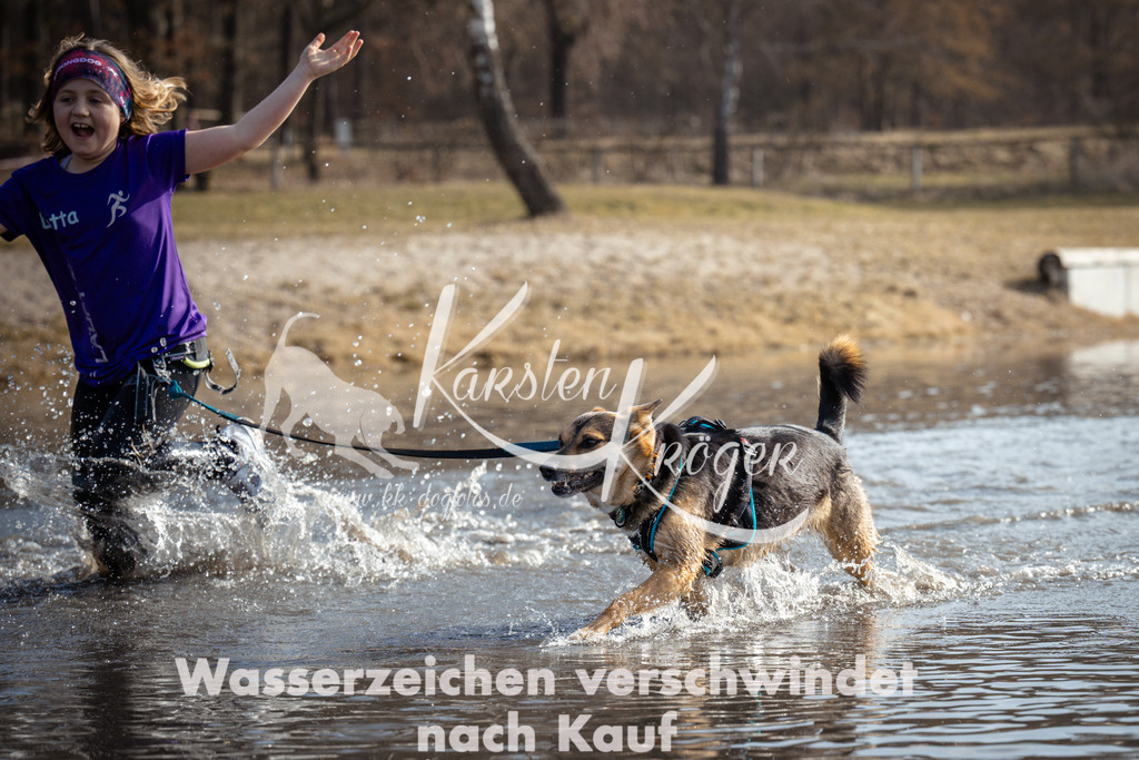 1101_ZZ91541 | kk-dogfotos