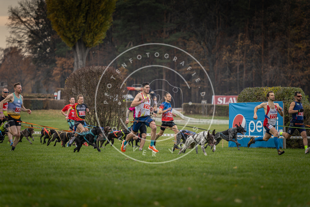 CaniXpix_DV3A5845 | Hundefotografie, Tierfotograf, Pfotenfotografie, Fotoshooting Hund, Hunde Portrait, Hundesport, Hundeportraits, Heideshooting, Hunde, Sportfotograf, Hundefotograf, Turnierhundsport, THS,  - Realisiert mit Pictrs.com