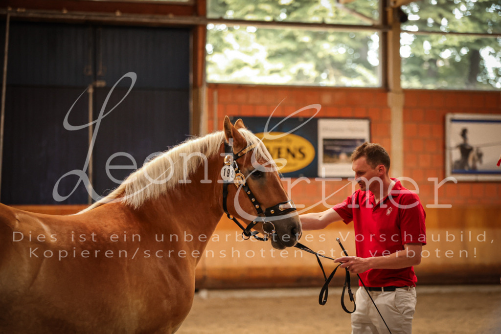 SaFL00265 | Leoni Ertmer Photography - Realisiert mit Pictrs.com