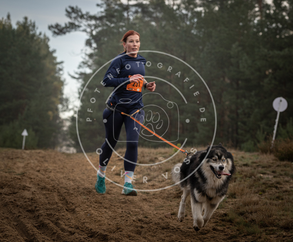 Pfotenfotografie_DV3A5527 | Hundefotografie, Tierfotograf, Pfotenfotografie, Fotoshooting Hund, Hunde Portrait, Hundesport, Hundeportraits, Heideshooting, Hunde, Sportfotograf, Hundefotograf, Turnierhundsport, THS,  - Realisiert mit Pictrs.com