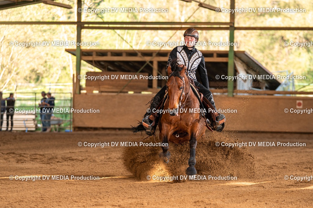 Balingen Tag 3-1492 | dv-media-shop - Realisiert mit Pictrs.com