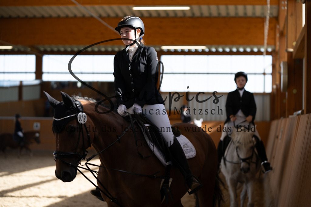 A7V02119 | Turnier/Reitfotograf