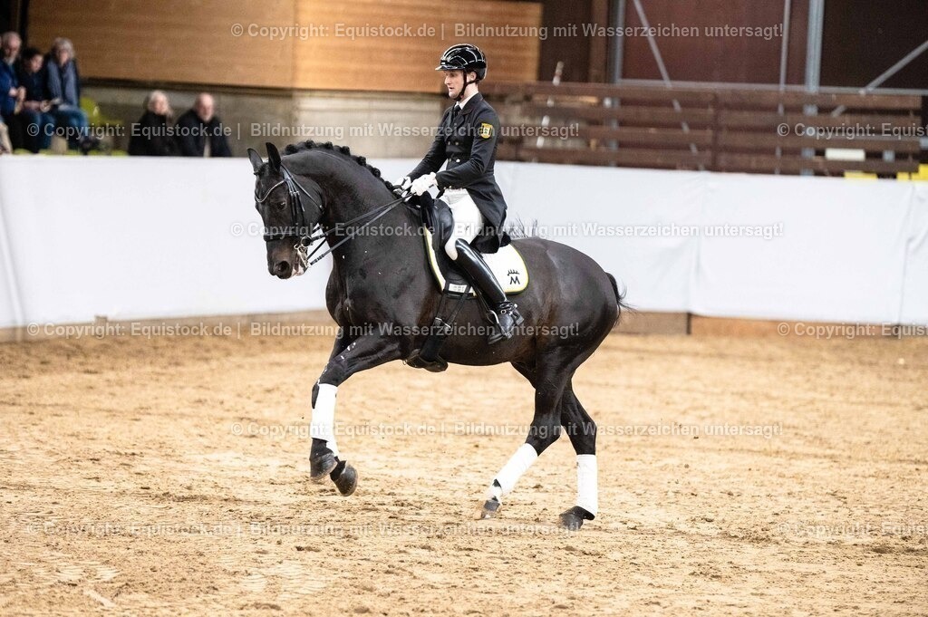 20260307_Hengstvorstellung-Marbach_0494 | equistock