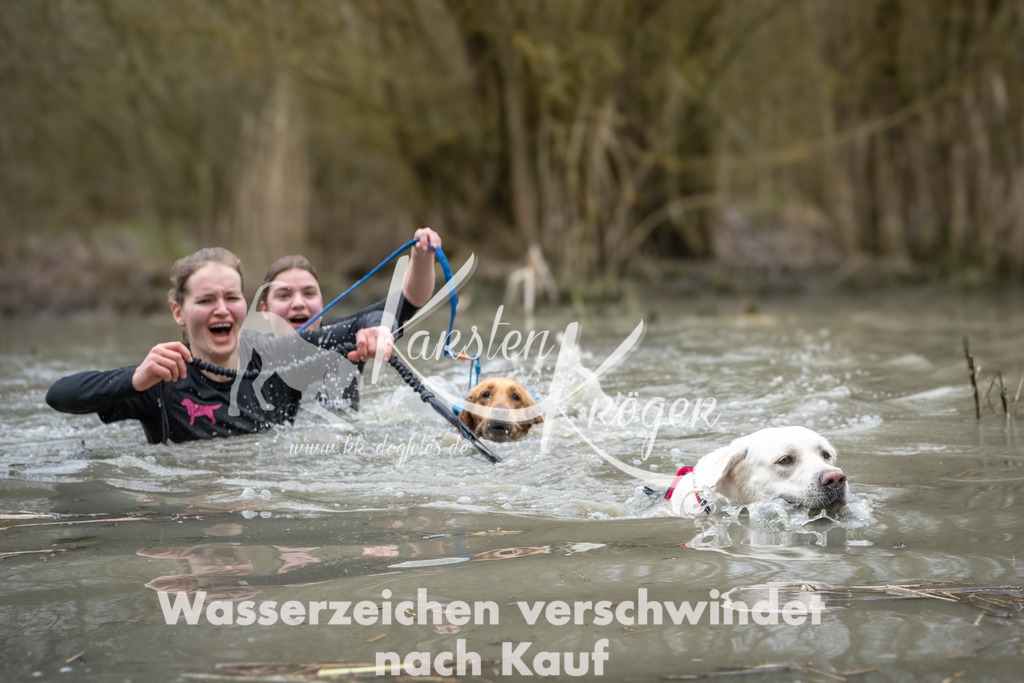 1049_ZZ92401 | kk-dogfotos