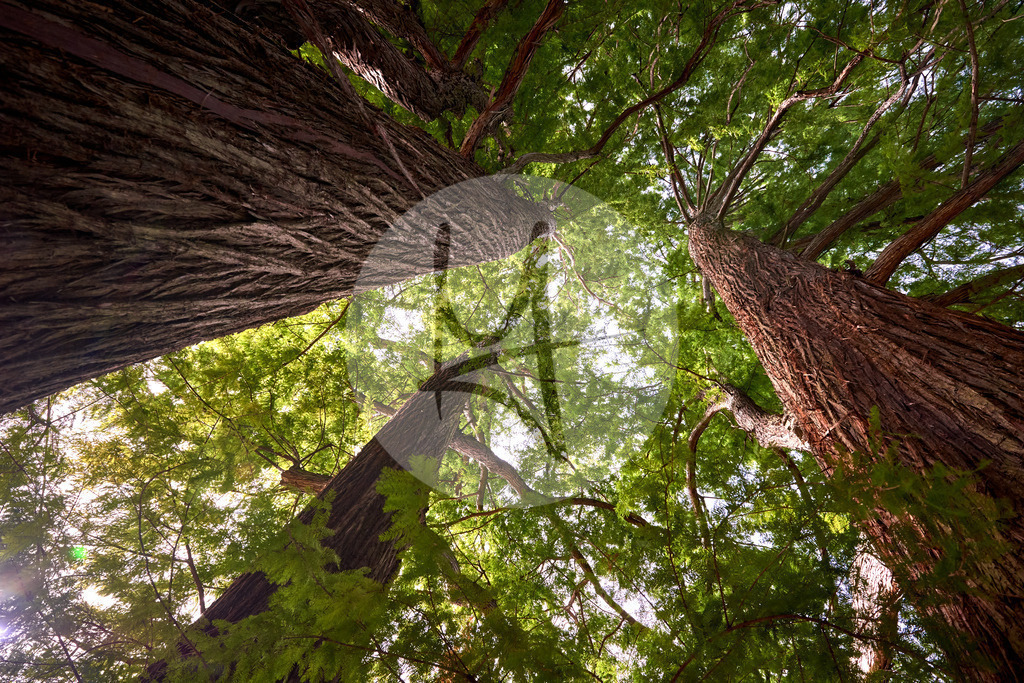 Grünes Wolfenbüttel - Lessingstadt Wolfenbüttel in Niedersachsen, Deutschland | Meurer Shop - Realisiert mit Pictrs.com