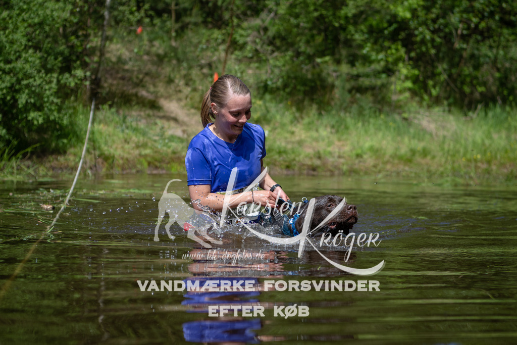 1200DKK991486 | kk-dogfotos
