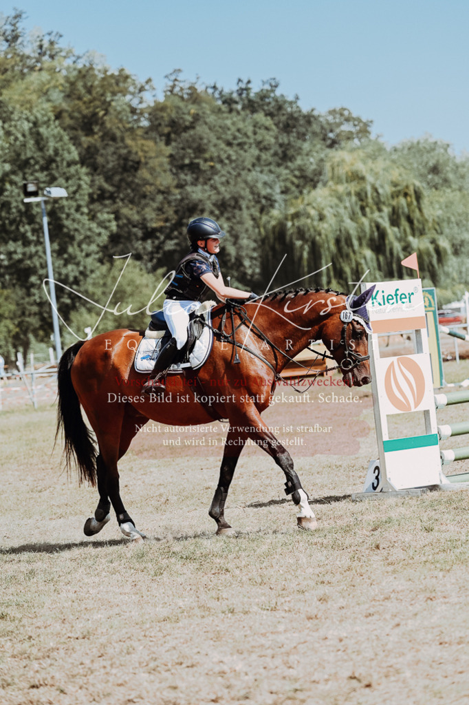 DSC_9812 | Pferde- und Turnierfotografie in Westsachsen. Pferdeportraits, Auftragszeichnungen und intuitive Kunst.